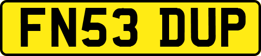 FN53DUP