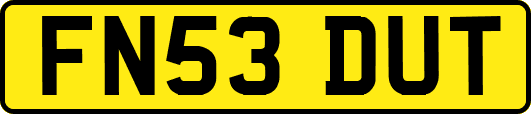 FN53DUT