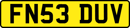 FN53DUV
