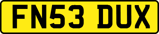 FN53DUX