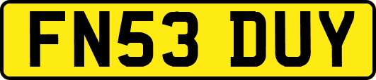 FN53DUY
