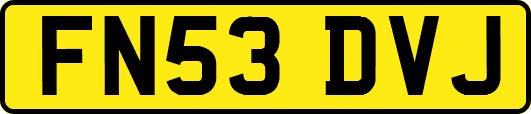 FN53DVJ