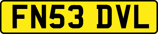 FN53DVL