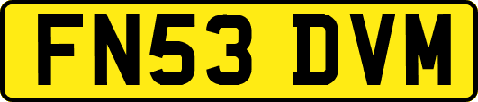 FN53DVM