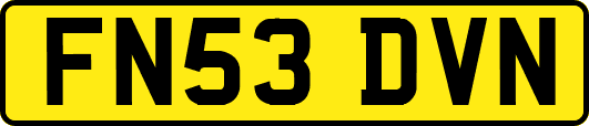 FN53DVN