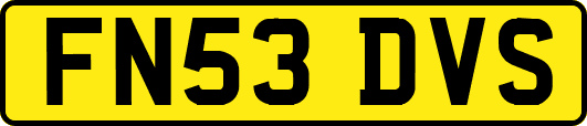 FN53DVS