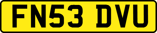 FN53DVU