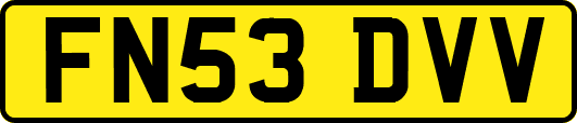FN53DVV