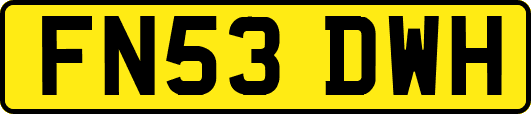 FN53DWH