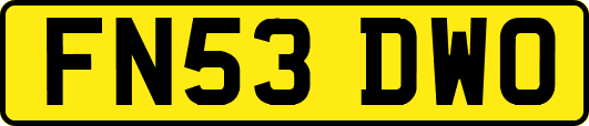 FN53DWO