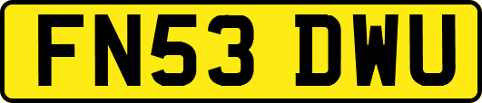 FN53DWU
