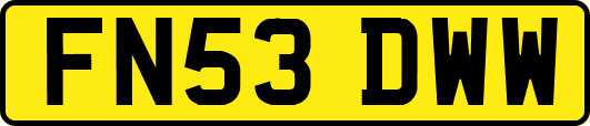 FN53DWW