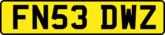 FN53DWZ