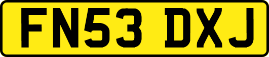 FN53DXJ
