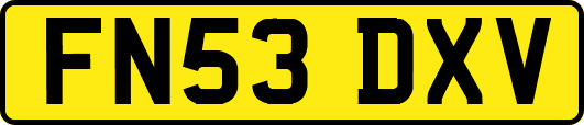 FN53DXV