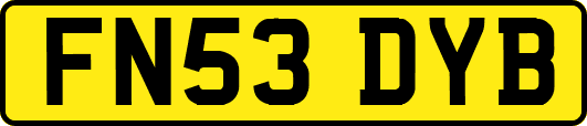 FN53DYB