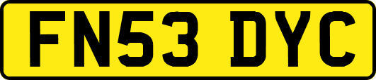 FN53DYC