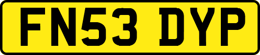 FN53DYP