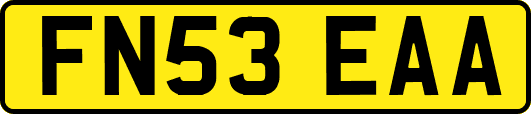 FN53EAA