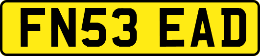 FN53EAD