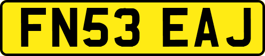 FN53EAJ