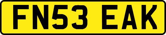 FN53EAK