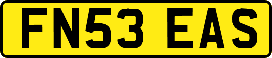 FN53EAS