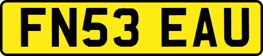 FN53EAU