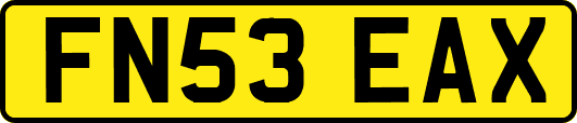 FN53EAX