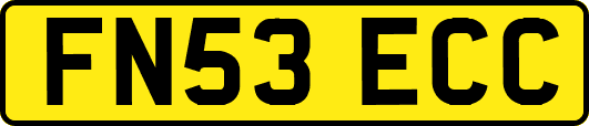 FN53ECC