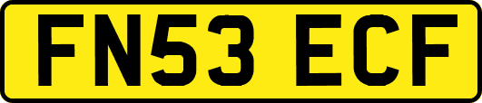 FN53ECF