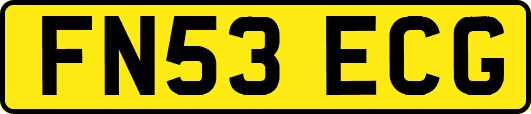 FN53ECG