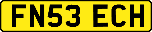 FN53ECH