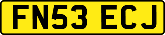 FN53ECJ