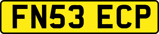 FN53ECP