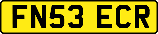 FN53ECR