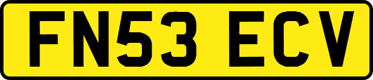 FN53ECV