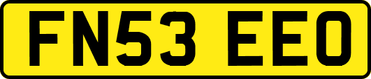 FN53EEO