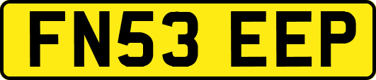 FN53EEP