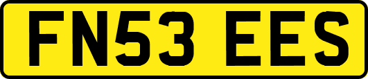 FN53EES
