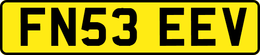 FN53EEV