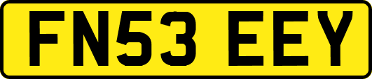 FN53EEY