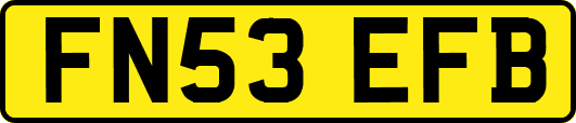 FN53EFB