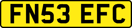 FN53EFC