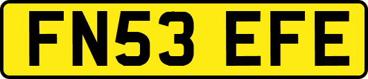 FN53EFE