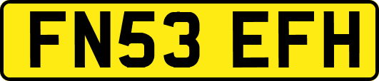 FN53EFH