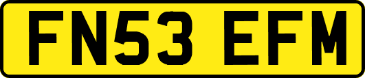 FN53EFM