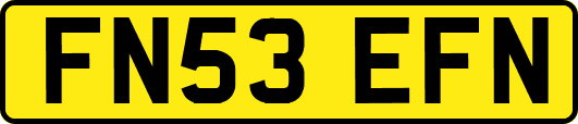 FN53EFN