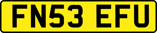 FN53EFU