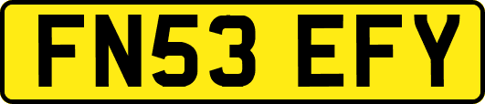 FN53EFY